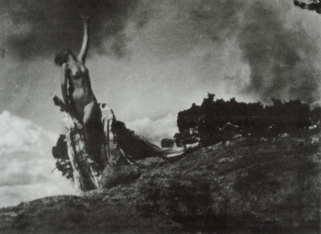 ANNE BRIGMAN - The Soul of the Blasted Pine, 1910 (1 of 1)