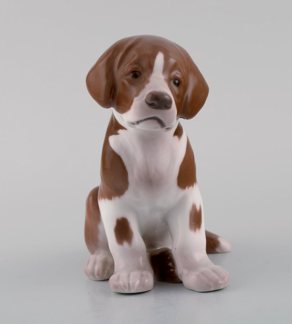 Antique Bing & Grøndahl porcelain figurine. Saint Bernhard puppy. Model number 1926. Early 20th (1 of 7)
