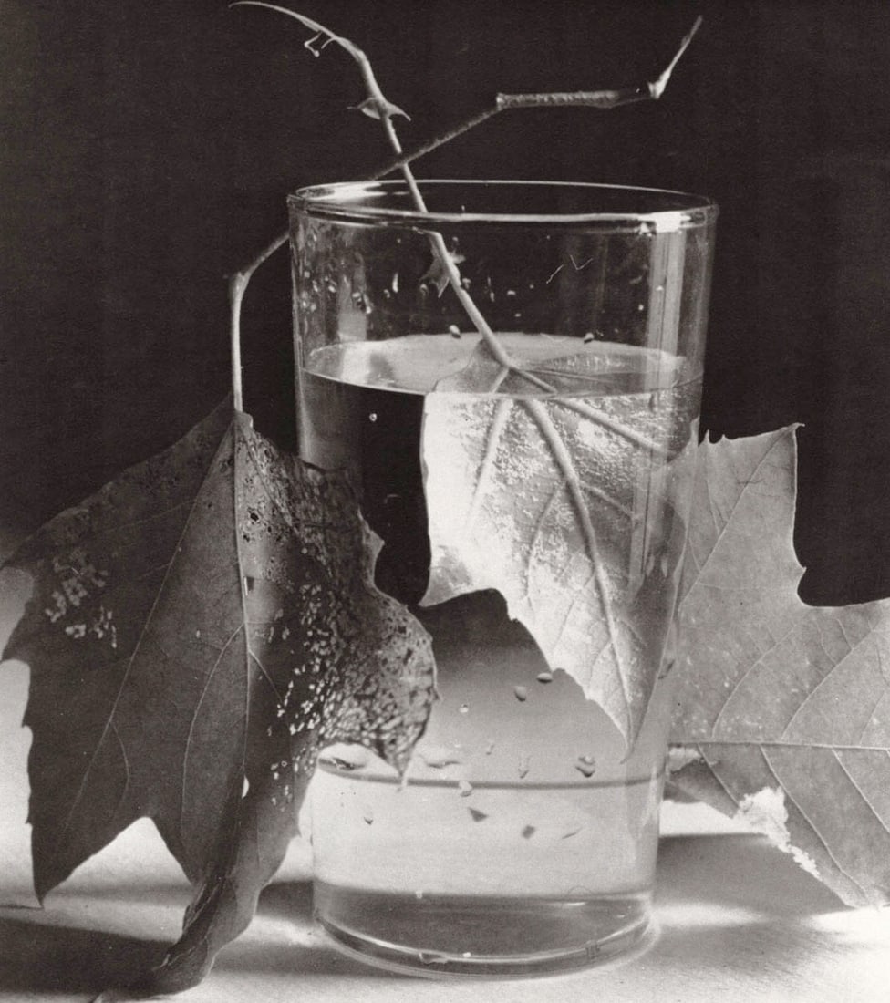 HORST P. HORST - Army Leaves, Ft. Belvoir, 1944: Artist: HORST P. HORST Print Title: Army Leaves, Ft. Belvoir, 1944 Medium: Sheet-fed Gravure Printing Date: 1990's Printed in Japan Image size (inches) approx. 11 x 9.5” Horst Paul Albert Bohrma