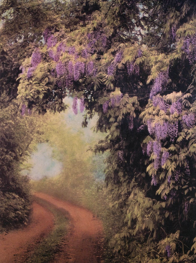 PETER SIMON - Wisteria Road (1 of 1)