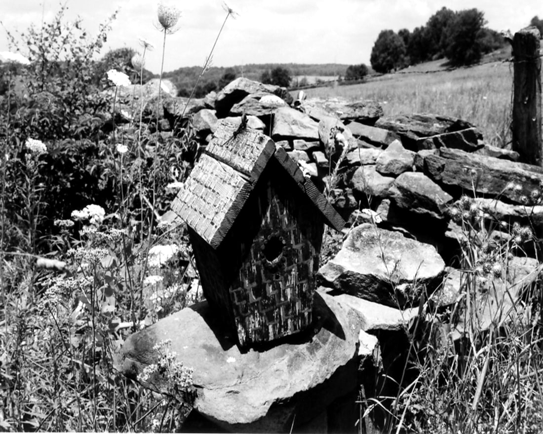 BIRDHOUSE, (WESTERN CATSKILL MOUNTAINS) (1 of 1)