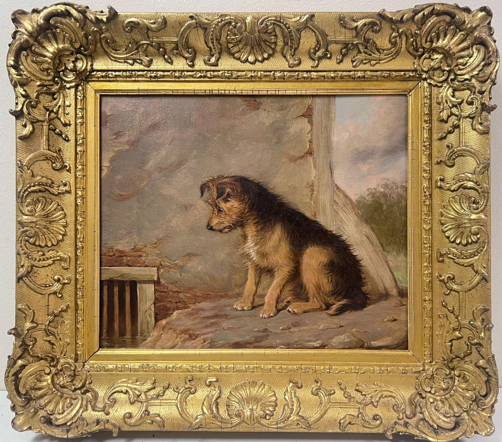 Fine Victorian Oil Painting Portrait of Scruffy Terrier Dog Staring in Gilt Frme (1 of 14)