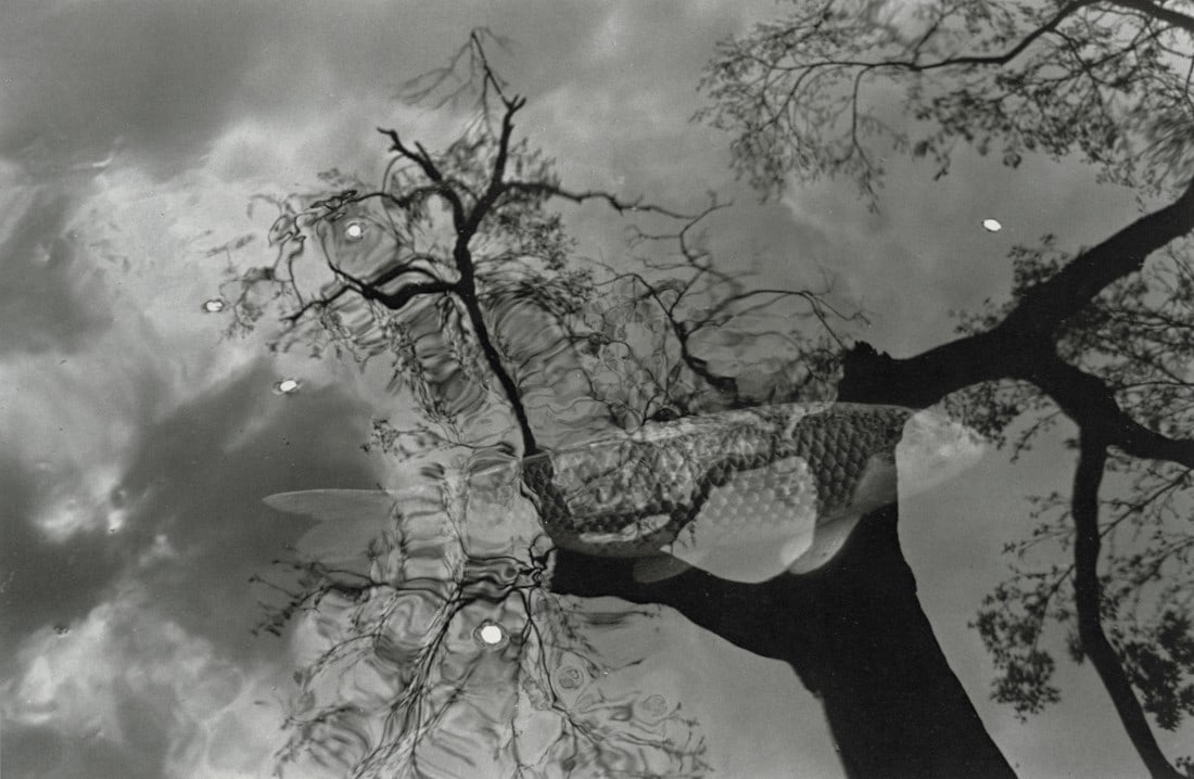 LEE FRIEDLANDER - Kyoto, 1981: Artist: Lee Friedlander Title: Kyoto, 1981 Medium: Photo Litho, 1989, USA Dimensions: 9.4x6.15" Description: Heat Wax Mounted on 11x14" Conservation Board Artist Bio: Lee Friedlander (1934) is an Ame