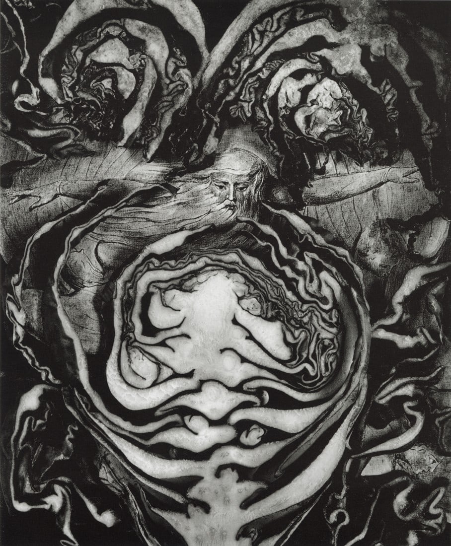 JACK STULER - Cabbage with William Blake, 1987: Artist: Jack Stuler Title: Cabbage with William Blake, 1987 Medium: Photo Litho, 1990, Germany Dimensions: 7.15x8.65" Description: Heat Wax Mounted on 11x14" Conservation Board Artist Bio: Jack Stuler