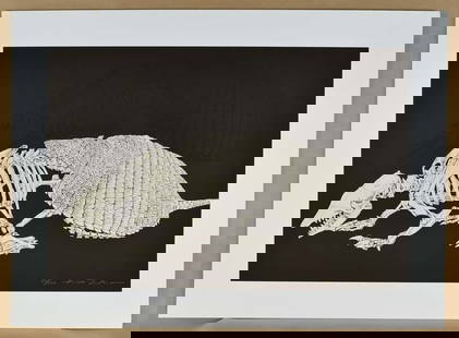 Limited edition HIDEO TAKEDA print ALTAMIRA ARMADILLO signed numbered: Original limited edition silkscreen print “SIX-BANDED ARMADILLO” by Hideo Takeda (born 1948) from the Altamera series - one of a set of 10 prints each depicting an animal skeleton. Printed