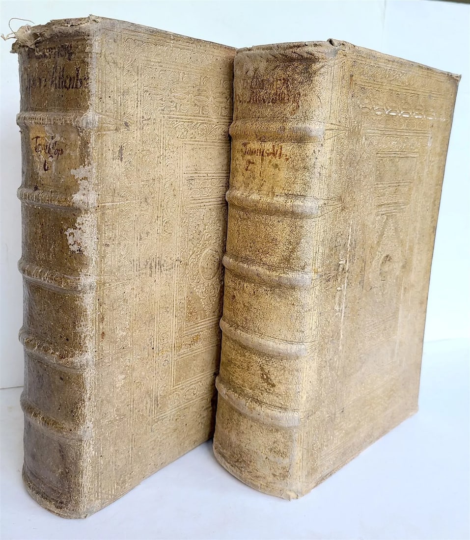1662 MARTIN LUTHER WRITINGS 2 volumes PIGSKIN BOUND FOLIO antique in GERMAN (1 of 13)