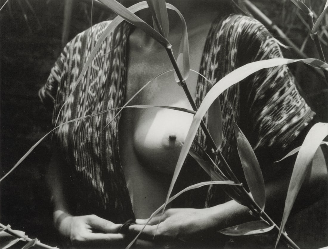 MANUEL ALVAREZ BRAVO - Forbidden Fruit, 1976 (1 of 1)