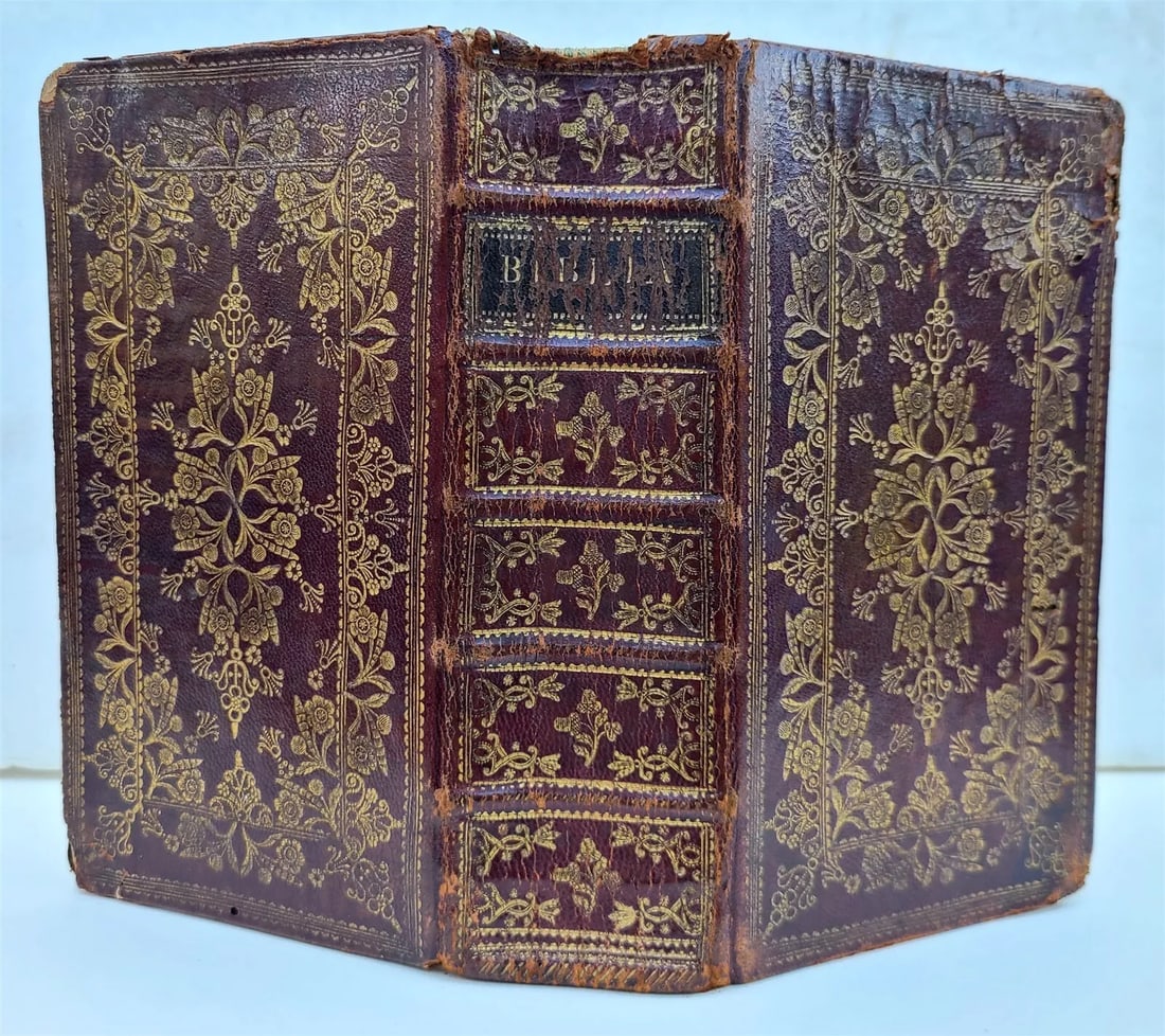 1752 BIBLE in GERMAN w/ STUNNING MOROCCO BINDING antique (1 of 13)