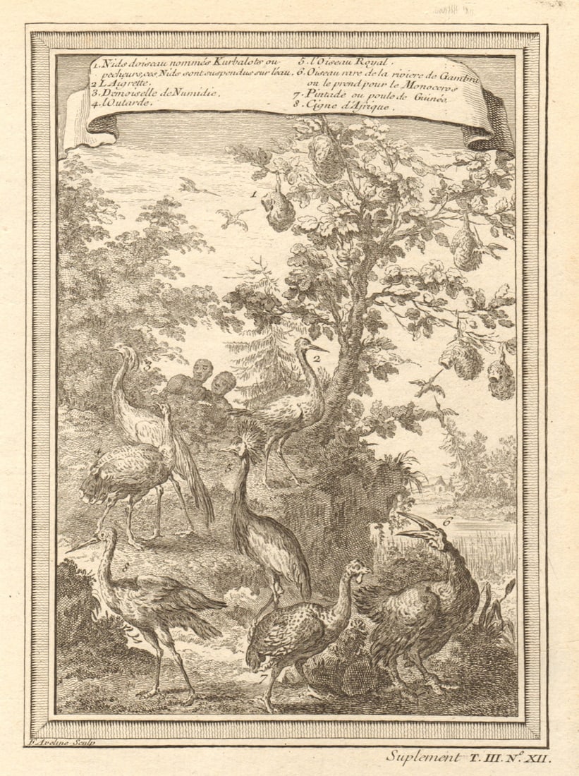 West African birds. Kurbalot Fisher Aigret Bustard Damsel Monoceros 1747 print: CAPTION PRINTED BELOW PICTURE: Nids d’Oiseau nommés Kurbalots ou Pêcheurs, ces Nids sont suspendus sur l’eau; l’Aigrette; Demoiselle de Numidie; l’Outarde; l’Oi