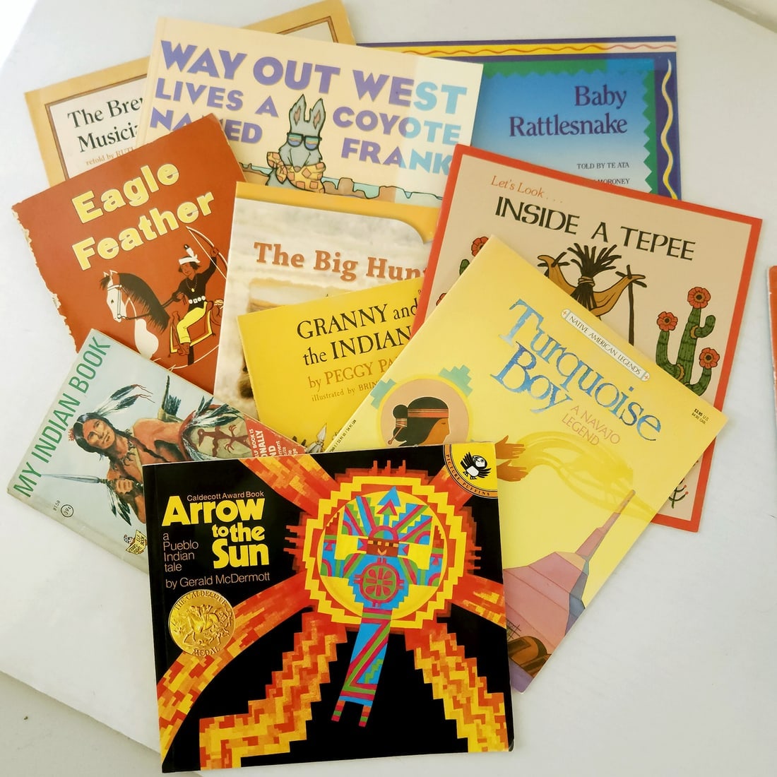 Native American Children's Picture Book Large Bundle (1 of 6)