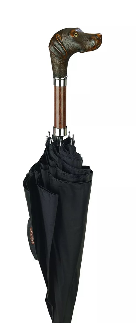 Brown Dog Chocolate Lab Umbrella (1 of 3)