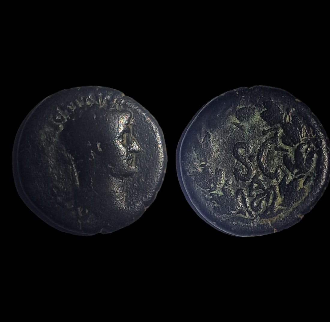 Roman Empire, Hadirian: Title: Roman Empire, Hadirian Description: Hadrian, 117-138 AD, Syria, Seleucis and Pieria, Antioch, AE27, SC Date/Period: 117-138 BC Materials: bronz coin Dimensions: 19.9 mm Reserve: $10.00 Shipping