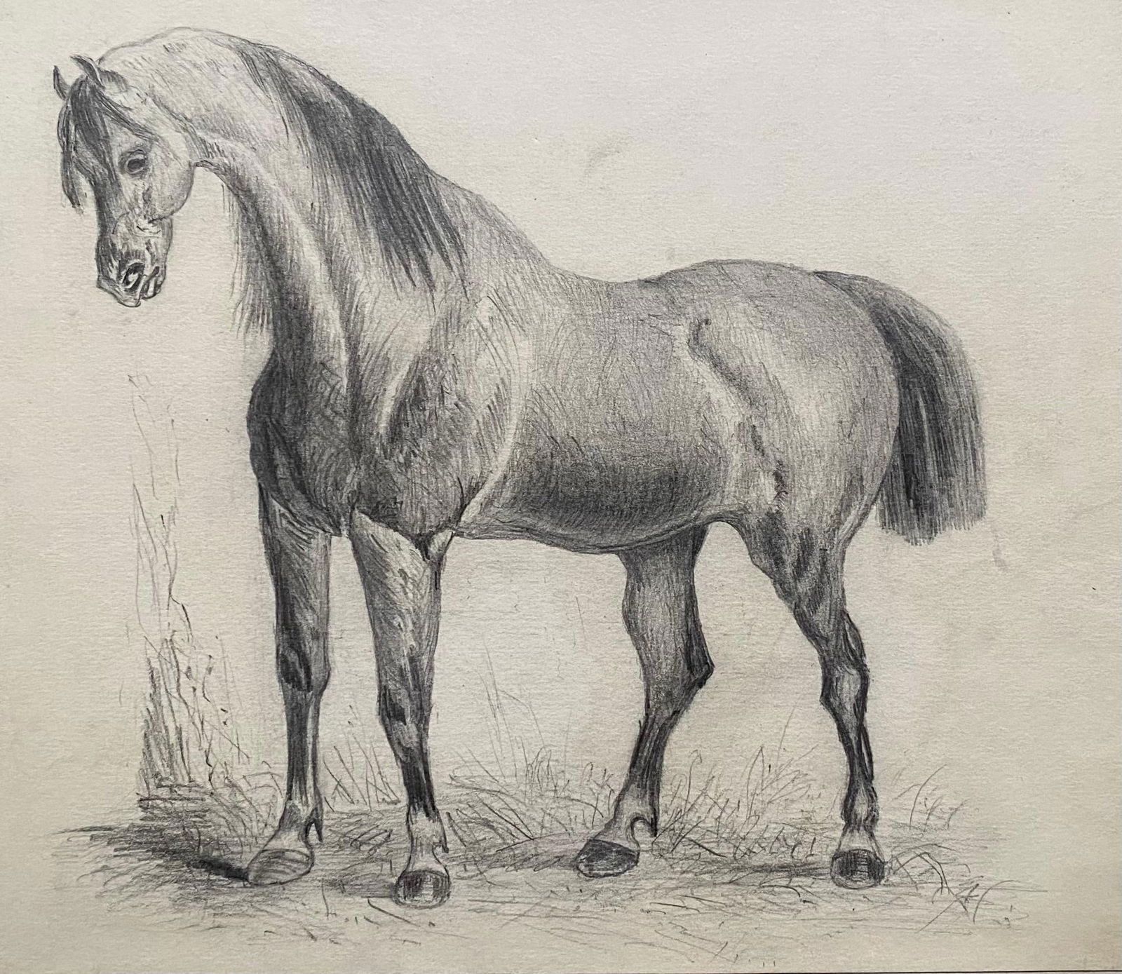 Fine Early 19th Century Classical Horse Study 1800's: About the Item Title: Portrait of a Horse Artist/ School: French School, circle of Jacques-Laurent Agasse (French 1767-1849) Medium: pencil drawing on paper laid over card Size: 10.25 x 11.5 inches Pr