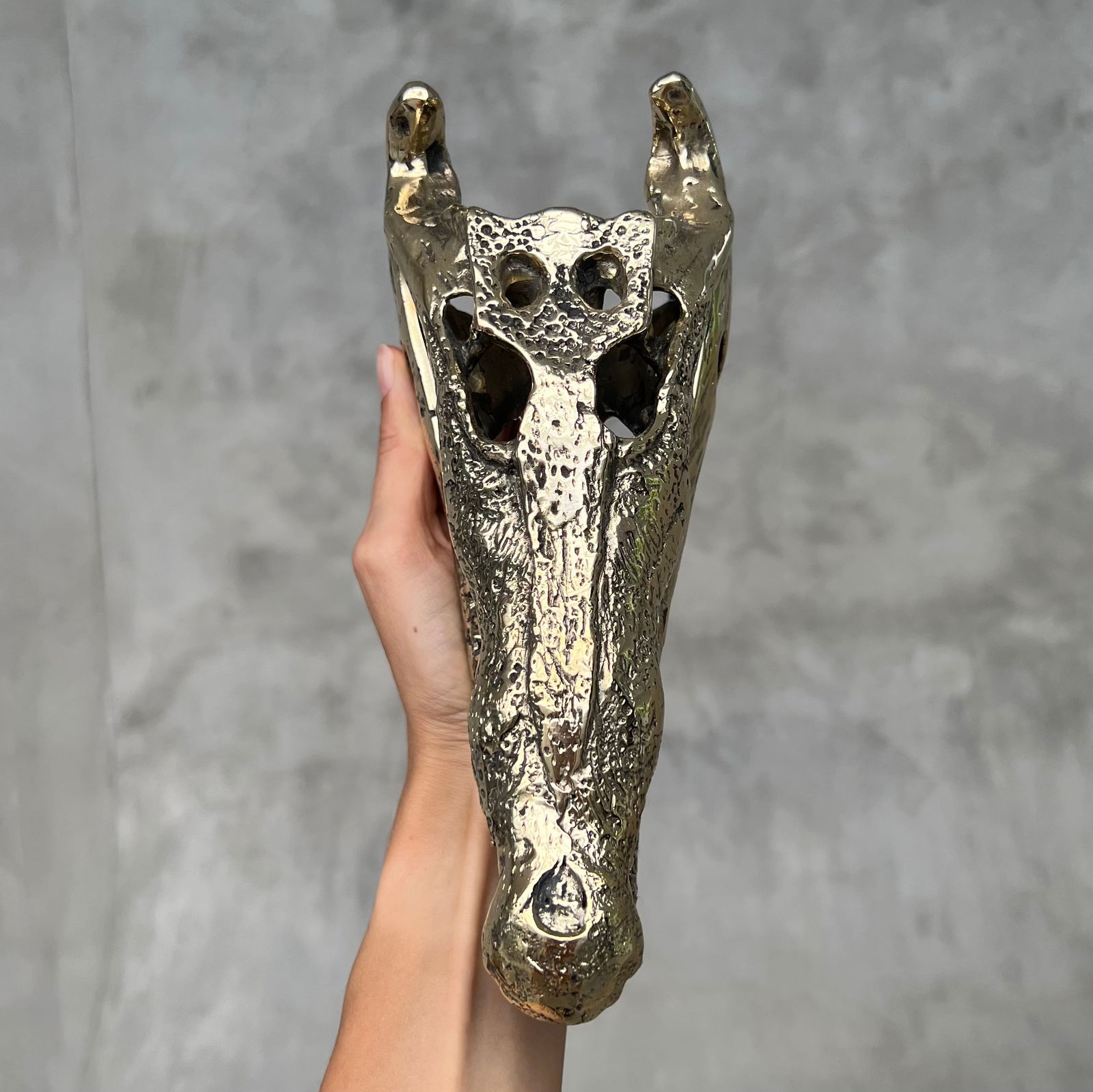 Small Polished Bronze Saltwater Crocodile Skull (1 of 10)