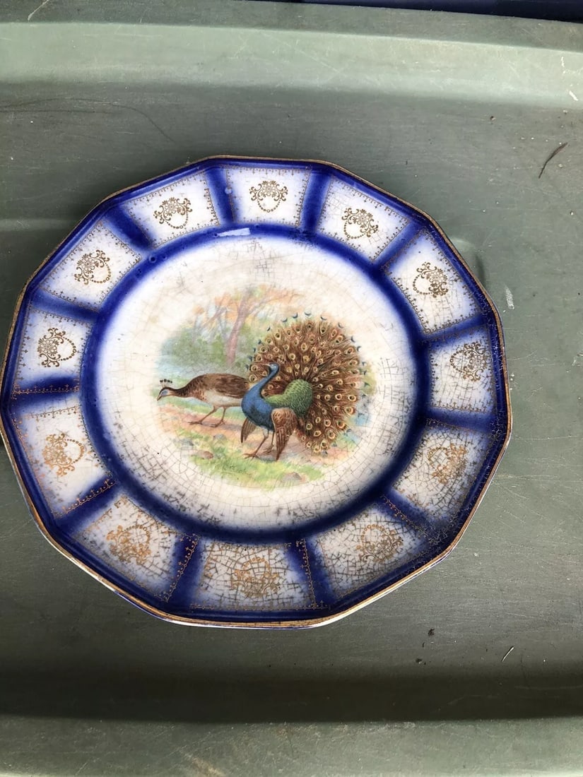 Flow Blue Peacock Plate: It measures 9” and is marked. It has no chips, cracks or repairs Shipping: Domestic: Flat-rate of $15.00 to anywhere within the contiguous U.S. International: Foreign shipping rates are determin