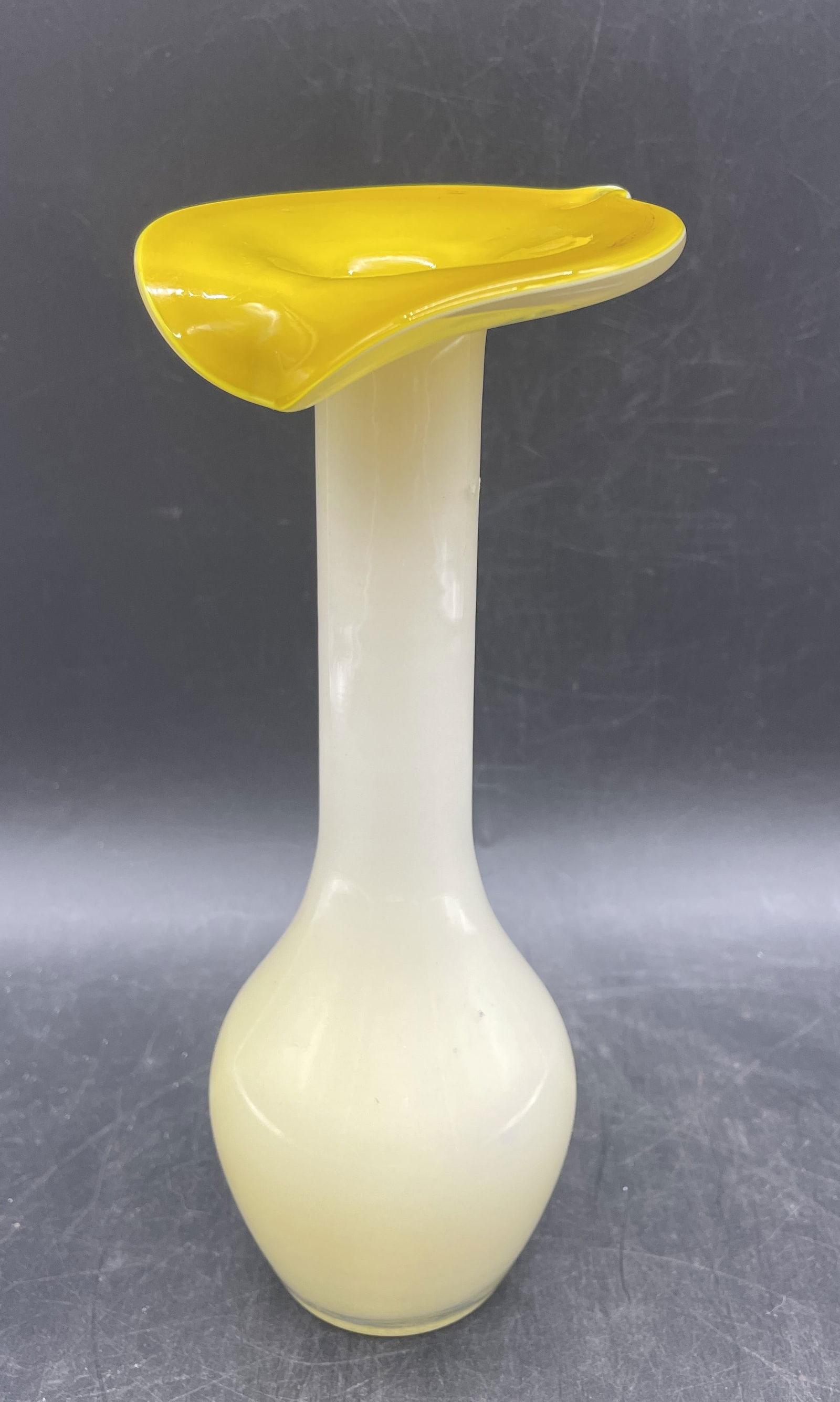 LOVELY WHITE & YELLOW JACK IN THE PULPIT GLASS VASE (1 of 8)