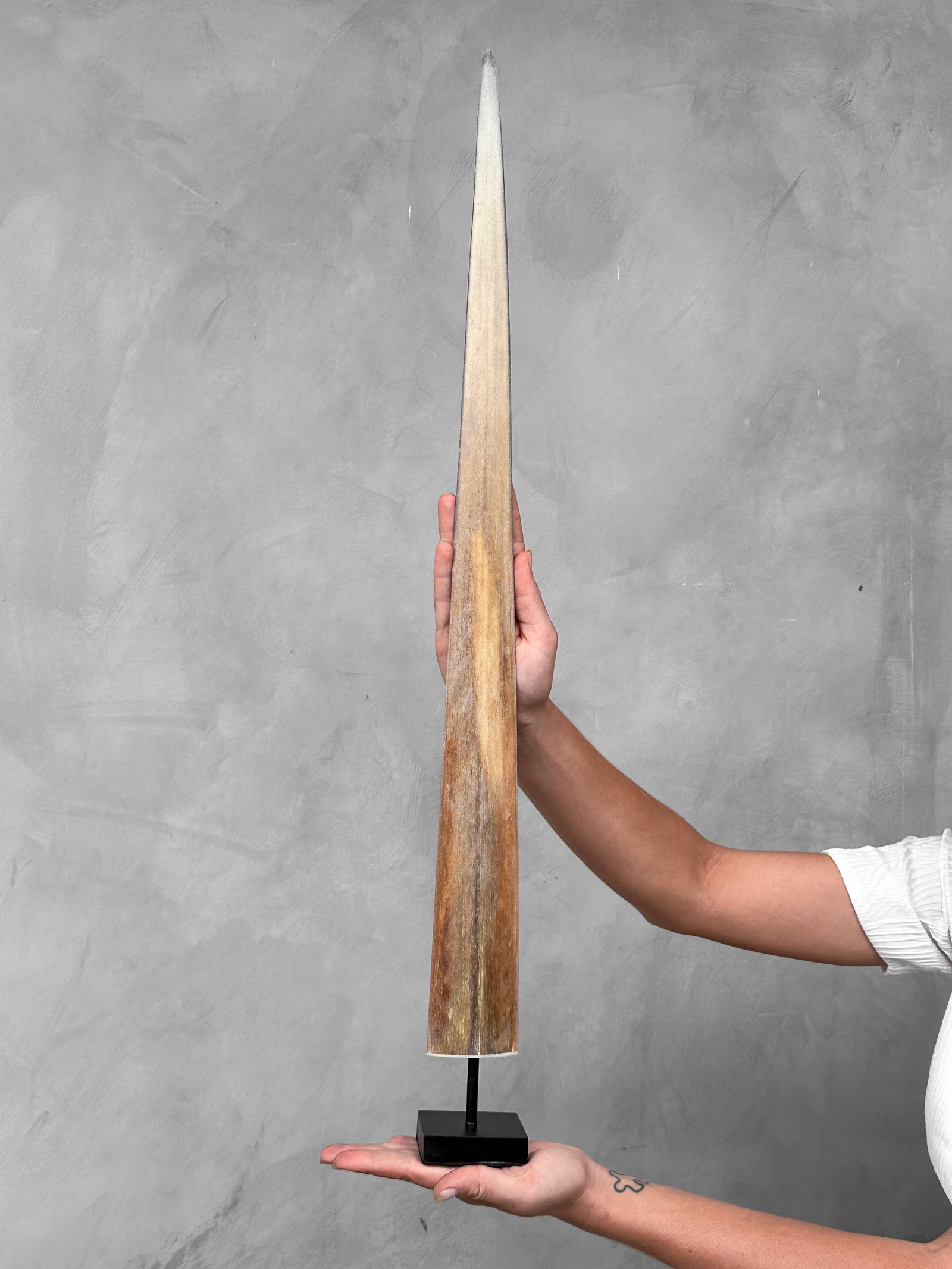 Swordfish tusk with custom stand: Title:Swordfish tusk with custom stand Maker: Unknown Origin:Indonesia Date/Period:2024 Materials:Xiphius Gladius, Bone, Steel DimensionsHeight including stand: 78 cm / 30.7 inches Description:Extra l