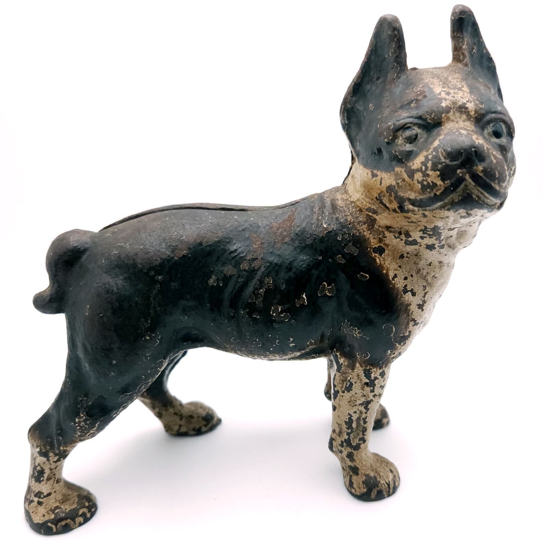 1930s Hubley Cast Iron Boston Terrier Dog Coin Bank (1 of 6)