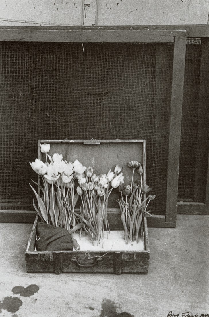 ROBERT FRANK - Flowers in a Suitcase, 1949: Artist: Robert Frank Title: Flowers in a Suitcase, 1949 Medium: Photo Litho, 1979, USA Dimensions: 5.4x8.15" Descrition: Heat Wax Mounted on 8.5x11" Conservation Board Artist Bio: Robert Frank (1924 -