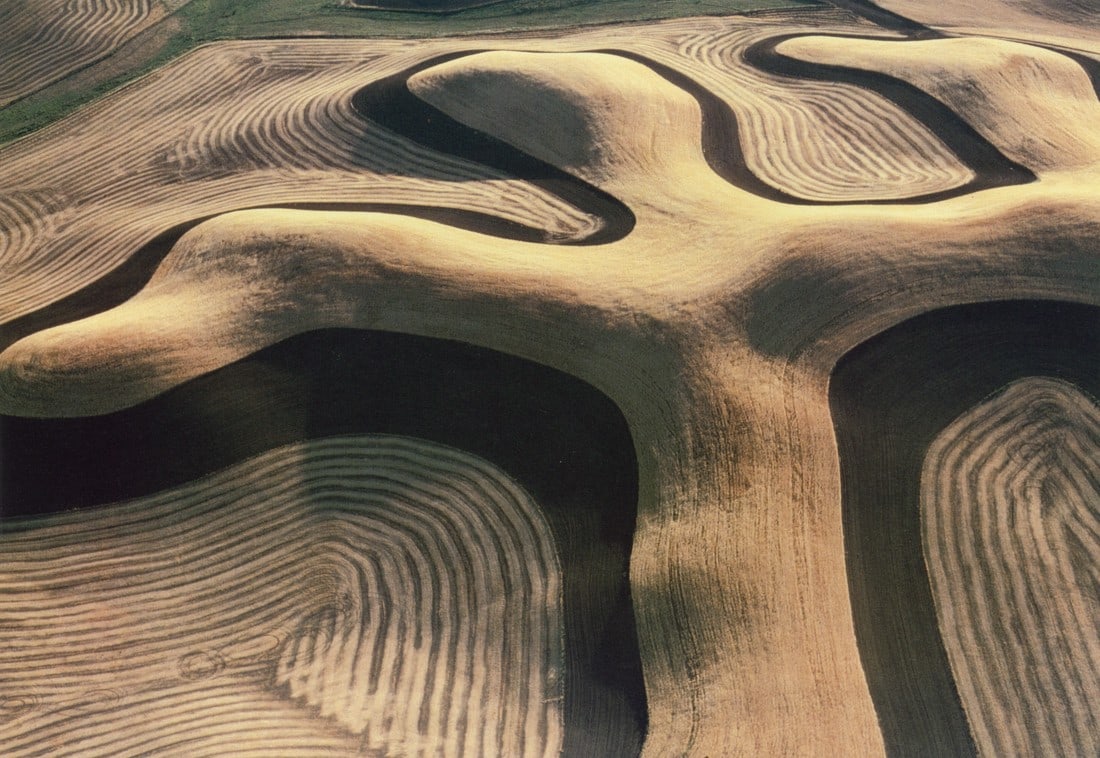 WILLIAM GARNETT - Wheat Field Near Pullman Washington (1 of 1)
