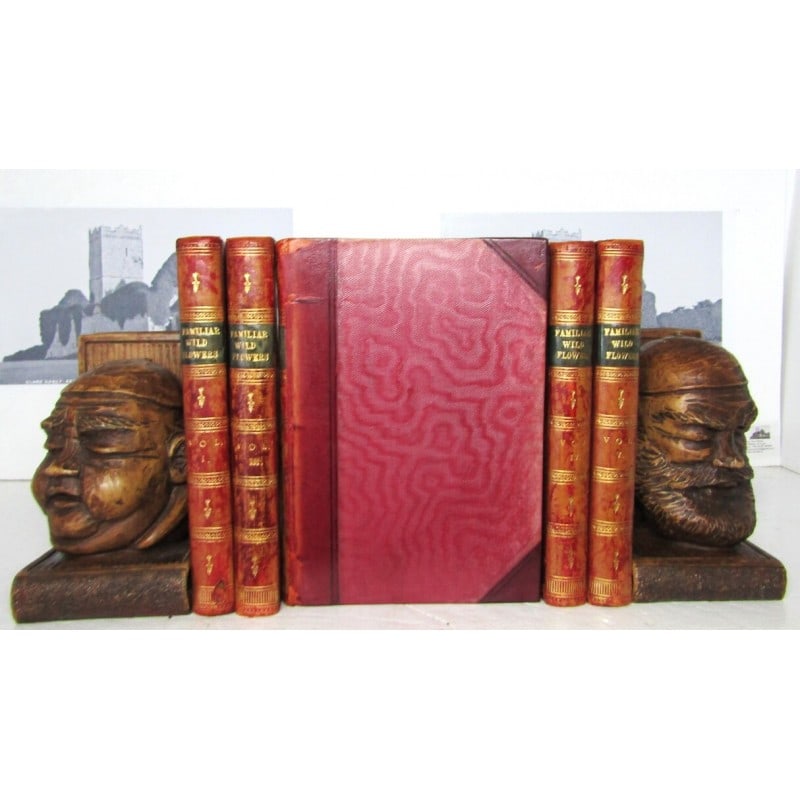 Familiar Wild Flowers - 5 Volumes: First editon thus. "200 beautiful chromolithograph plates with tissue-guards". Half-leather over moire silk boards [minor wear]. Morocco gilt titles, decorative gilt bands and gilt panel vignettes to