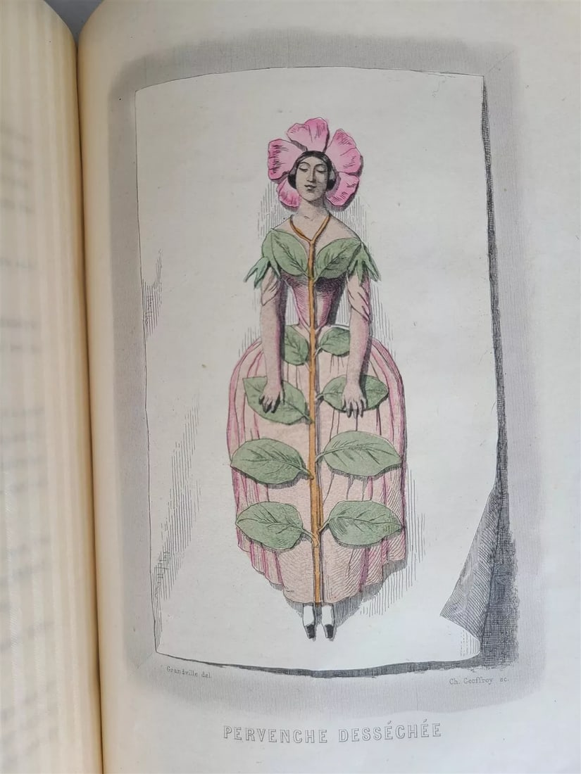 1847 FLOWERS PERSONIFIED antique ILLUSTRATED w/ 23 PLATES Les fleurs animees (1 of 18)
