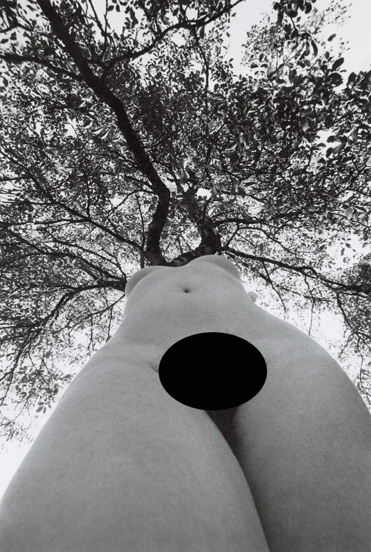 LUCIEN CLERGUE - Female Figure in the Forests of Lot: Artist: Lucien Clergue Title: Female Figure in the Forests of Lot, 1975 Medium: Photo Litho, 1999, Germany Dimensions: 8.3x12.2" Description: Heat Wax Mounted on 12x16" Conservation Board Artist Bio: