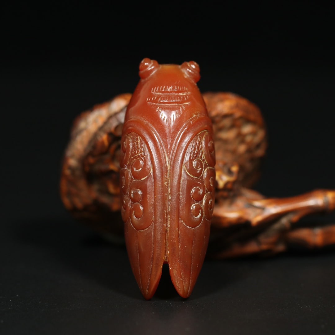 Chinese Red Agate Cicada Pendant (1 of 9)