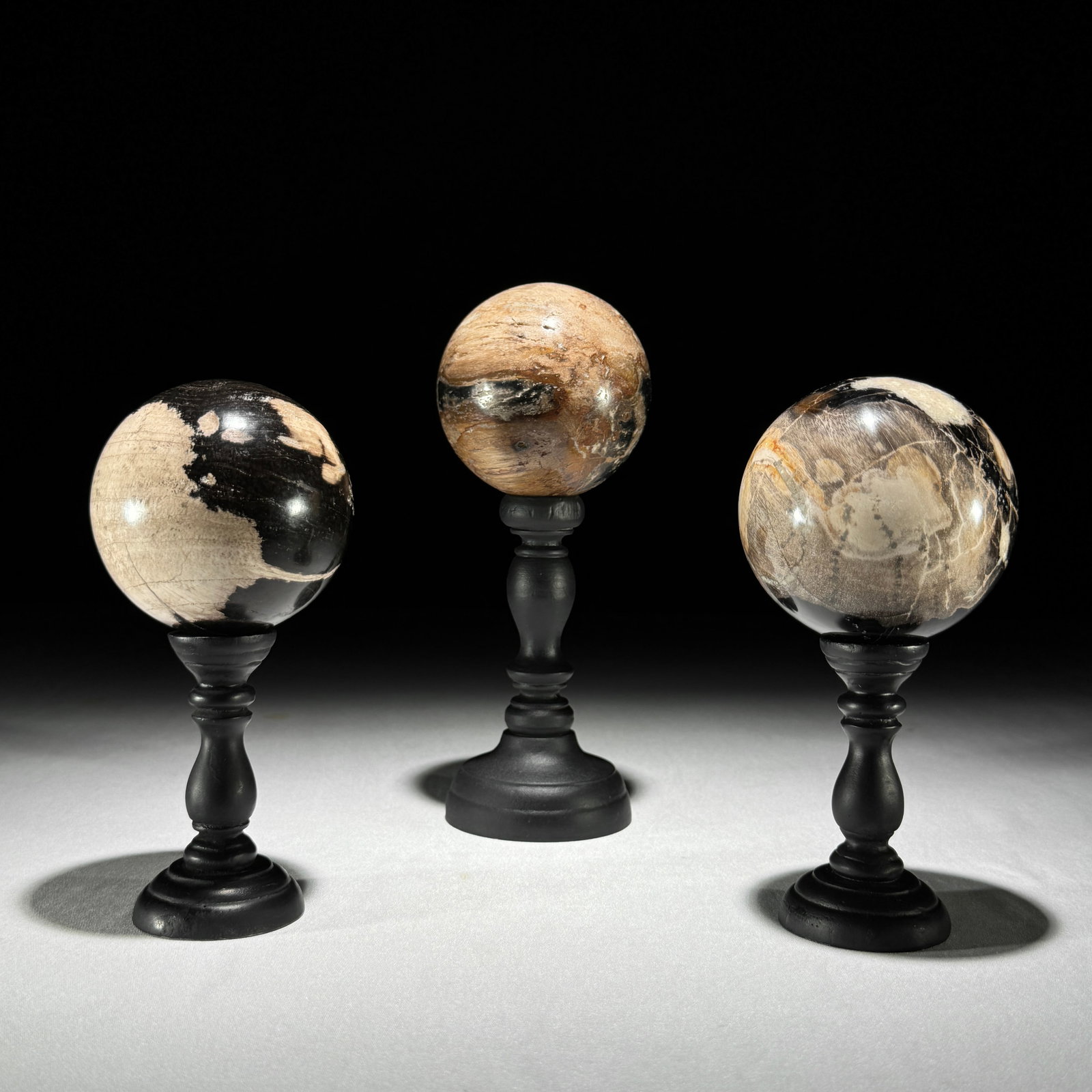 Wonderful set of 3 Petrified wood spheres with stands (1 of 10)