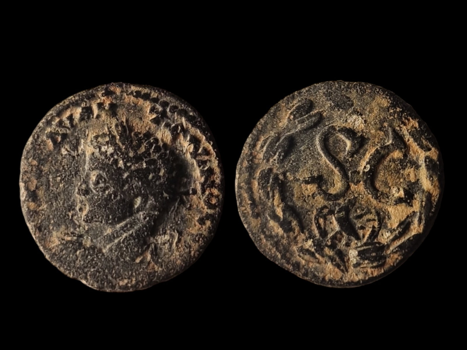 Roman Empire: Title: Roman Empire Description: AE30, struck 81-83 AD. Obverse: Laureate bust of Emperor Domitian facing left, with the inscription "[IMP DOMITIANVS CAES AVG]" around. Reverse: Large "SC" within a la