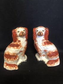 Pr Staffordshire Spaniel Dogs