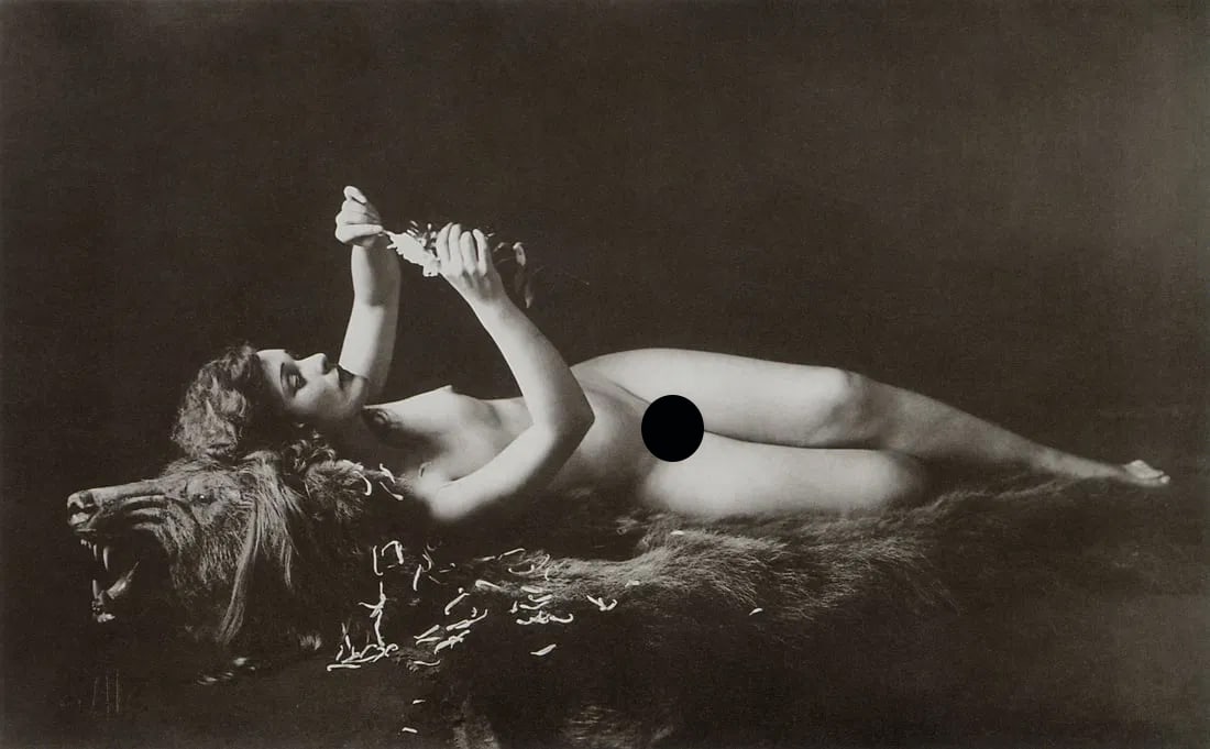 ALBERT ARTHUR ALLEN - Alo Studies (1 of 2)