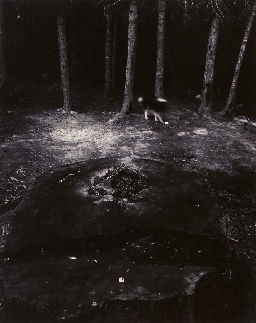 JACK WELPOTT - Time Leaves Nothing Hanging: Artist: Welpott, Jack Title: Time Leaves Nothing Hanging Medium: Gelatin Silver Dimensions: 5 3/4x4 9/16" image on 9 1/8x7 1/2" mount Description: Contact print. Signed and titled verso in pencil, ann