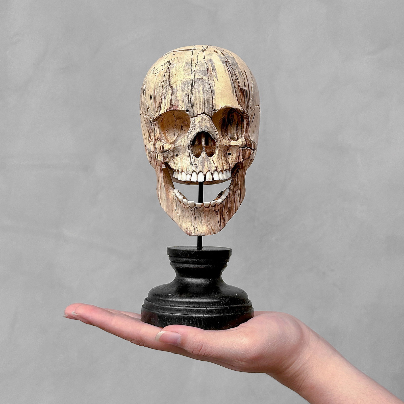 Wonderful human skull with a beautiful grain on a custom stand: Title: Wonderful human skull with a beautiful grain on a custom stand Maker: Unknown Origin:Indonesia Date/Period:2024 Materials:Tamarind Wood, Steel, Wood Dimensions:Height incl. stand: 20 cm / 7.8 i