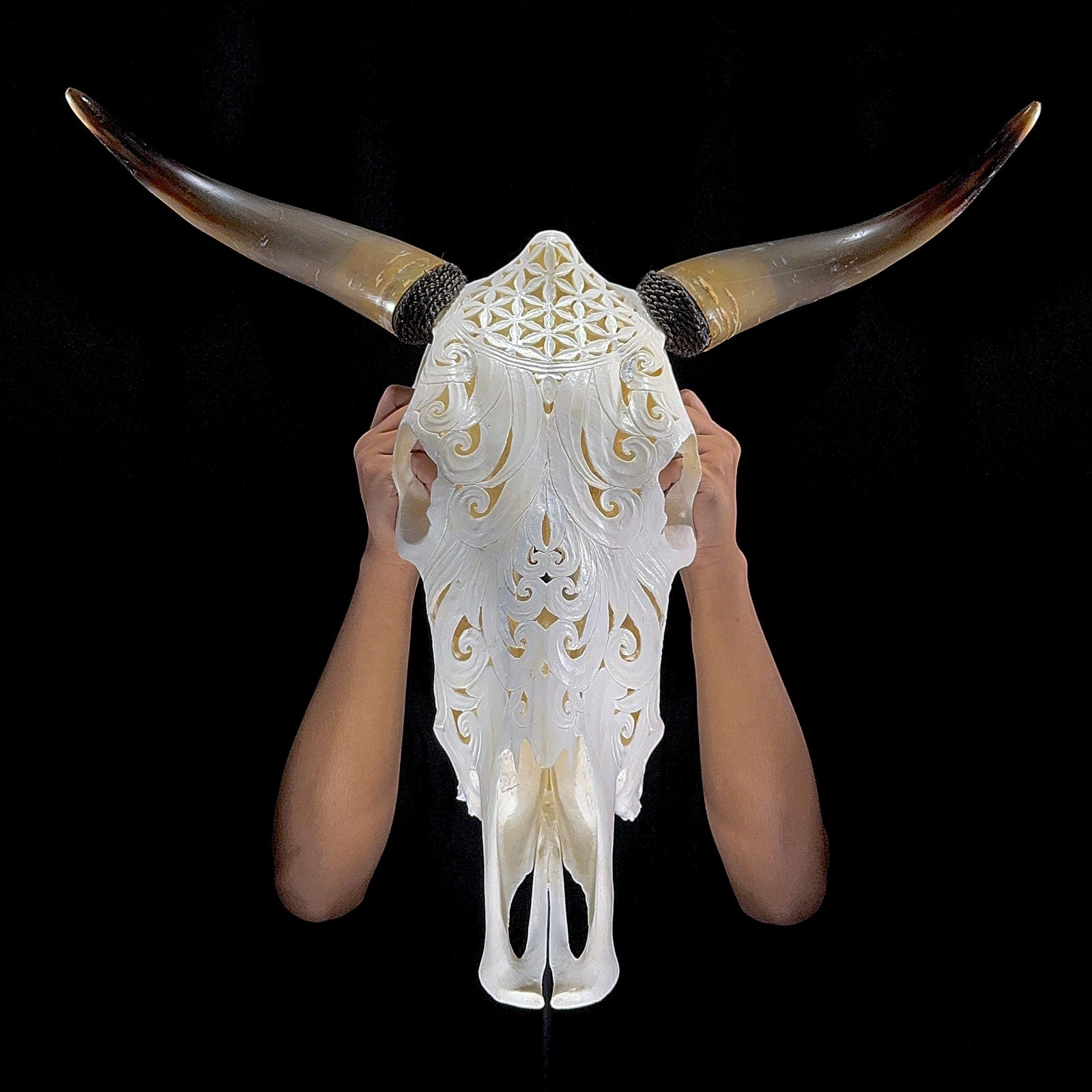 White bulls skull - Flower of life motif: Title: White bulls skull - Flower of life motif Maker: Unknown Origin:Indonesia Date/Period:2024 Materials:Bos Taurus, bone, horn DimensionsHeight: 56 cm / 22 inches. Length: 63 cm / 24.8 inches Descr