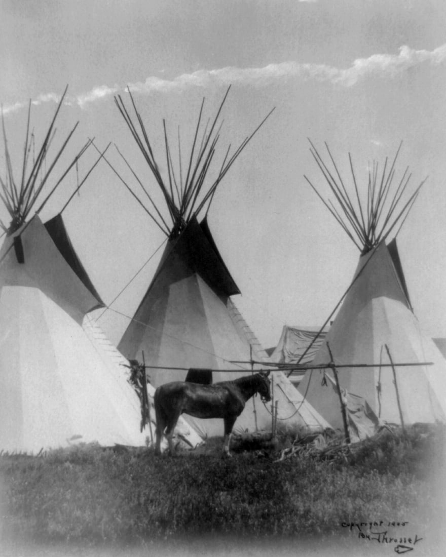 1905, THREE TEE PEES, BY RICHARD THROSSEL (1 of 1)