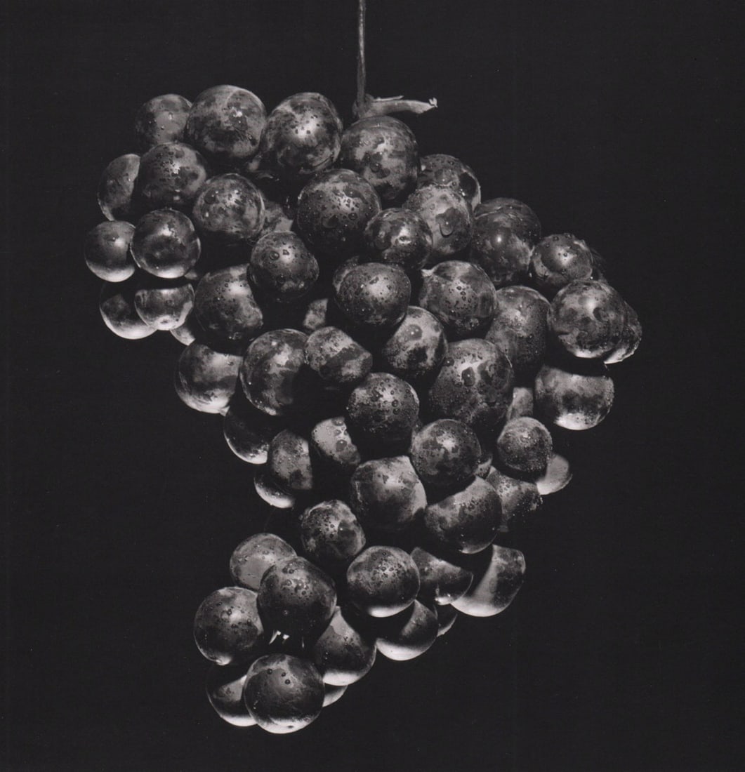 MAPPLETHORPE - Grapes, 1985 (1 of 1)