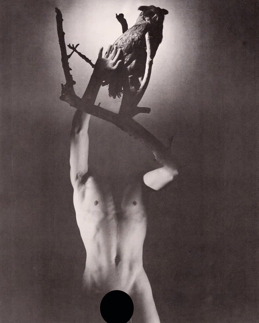 GEORGE PLATT LYNES - Ascalaphus: Artist: GEORGE PLATT LYNES Print Title: Ascalaphus Medium: Fine Duotone print from an edition of 5000 Printing Date: 1980’s Printed in Hong Kong Image Size: 11 X 9” George Platt Lynes (1907-19