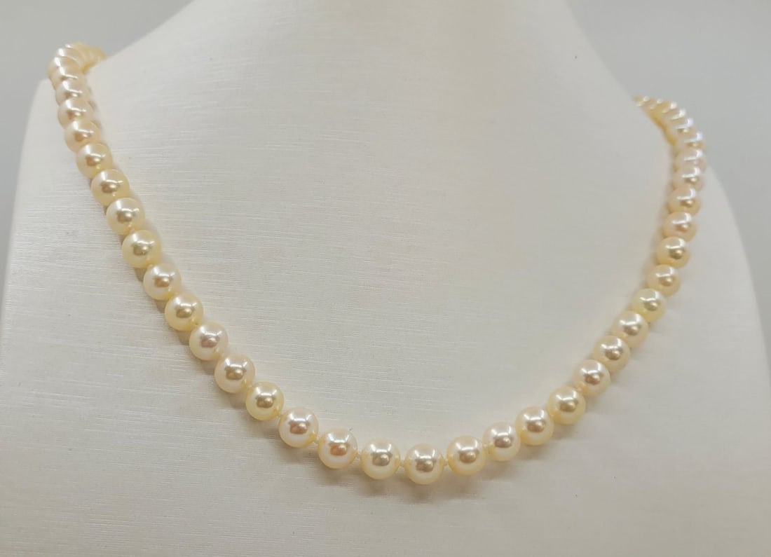 Necklace 6.5x7mm Soft Golden Akoya pearls: Title:Necklace 6.5x7mm Soft Golden Akoya pearls Description: A pearl necklace of soft golden saltwater Akoya pearls with excellent lustre, finished with a silver ball clasp. The classic Akoya pearl is