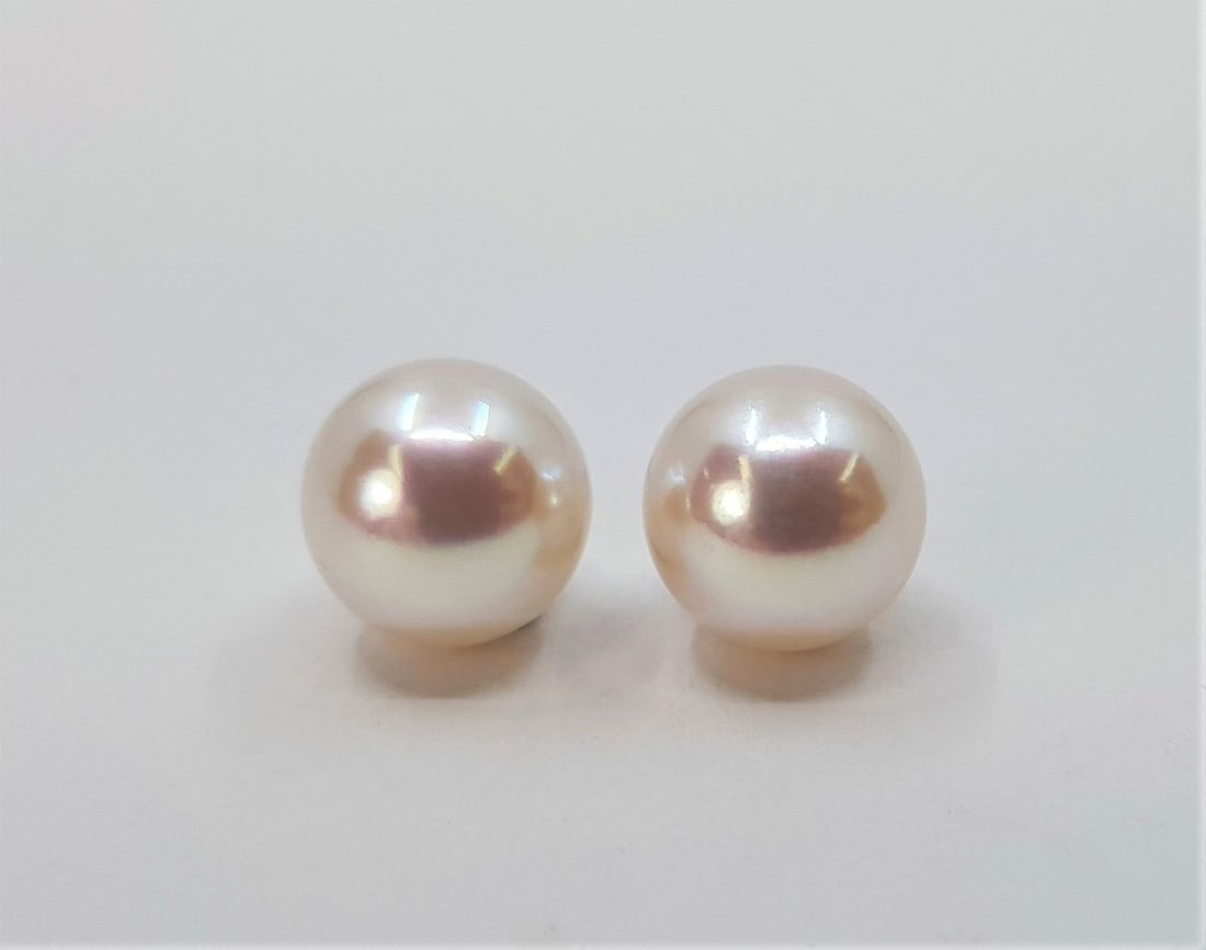 8x8.5mm Akoya Pearls - 14 kt. White gold - Earrings: Title:8x8.5mm Akoya Pearls - 14 kt. White gold - Earrings Description: Produced by the Pinctada Fucata oyster in the warm waters of Japan, these pearls have a natural warm bright luster and look beaut