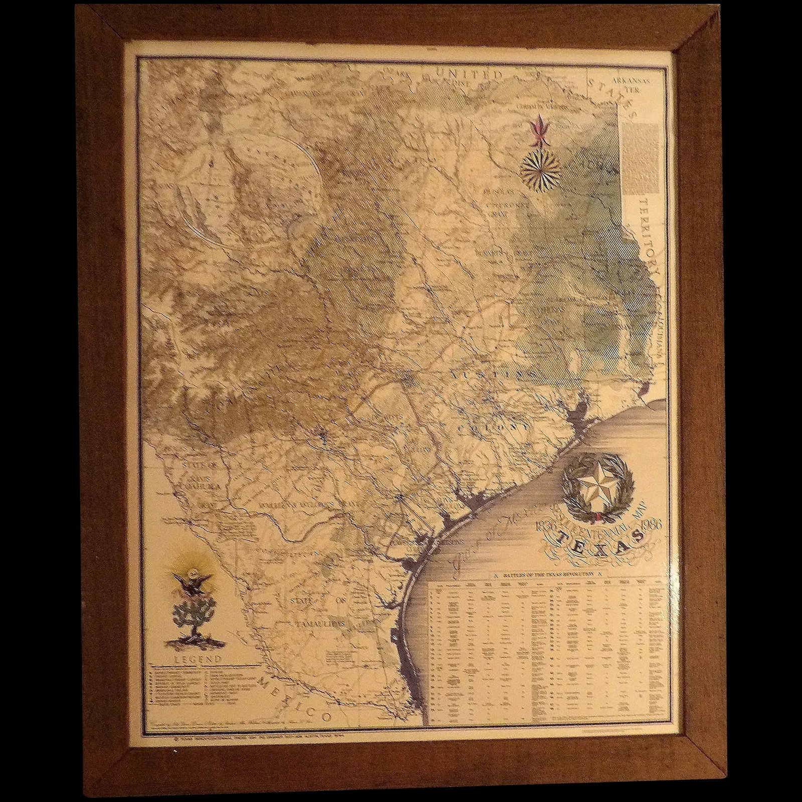 Vintage Texas Sesquicentennial Wall Map Framed (1 of 12)