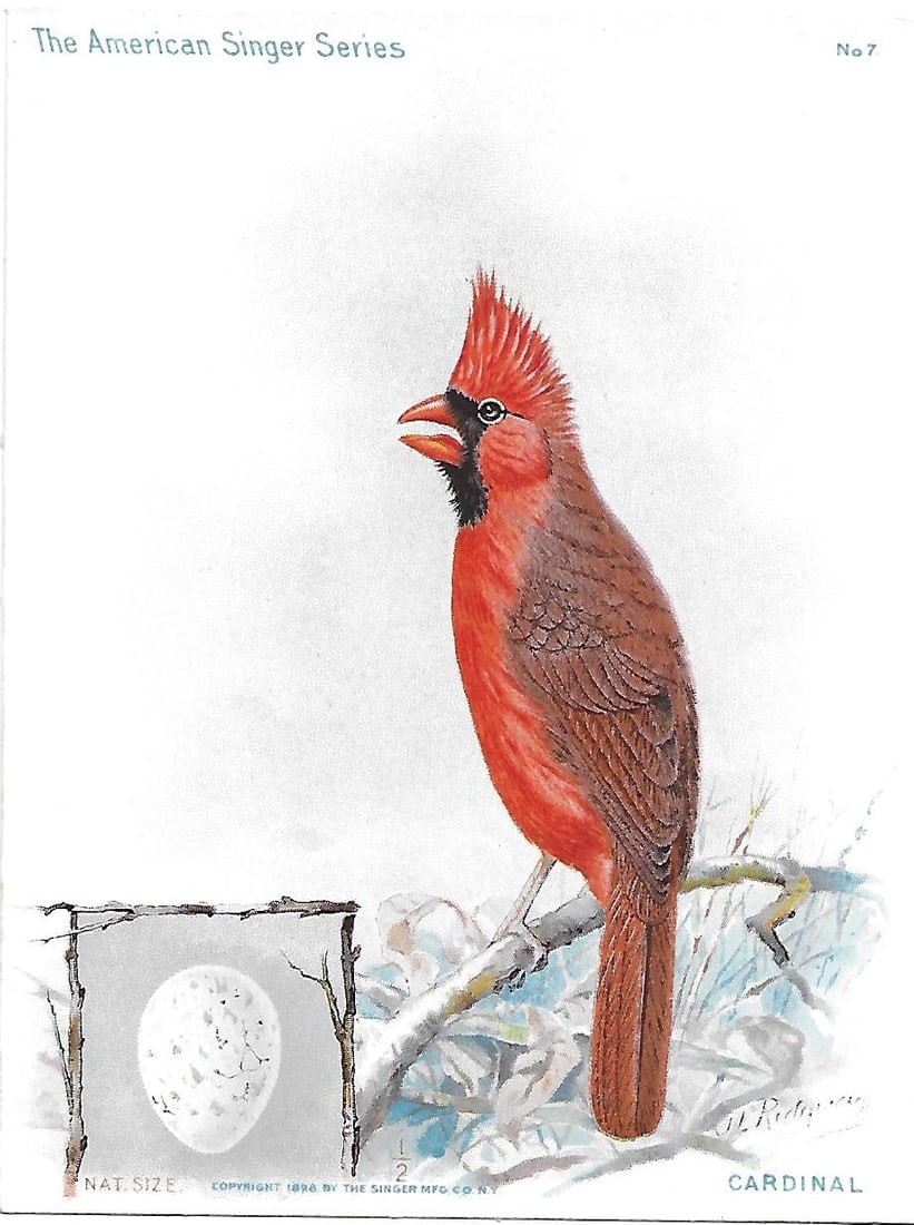 Singer Sewing Machine American Birds Collection (1 of 8)