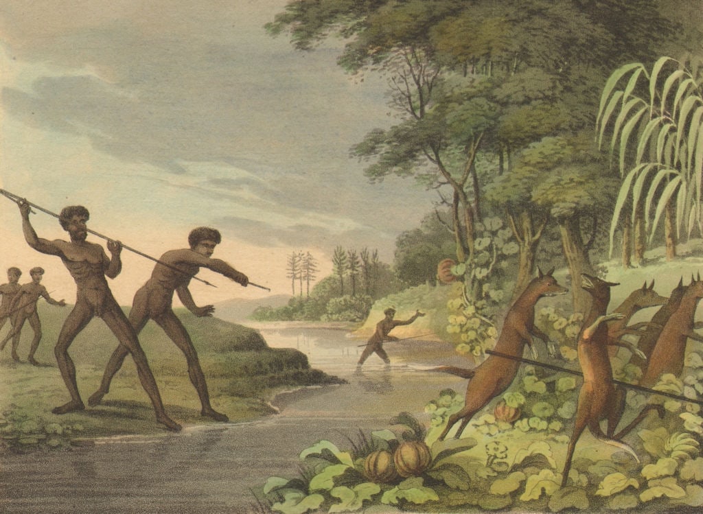 AUSTRALIA ABORIGINES. Hunting the Kangaroo with Spears. NSW (Orme) 1814 print (1 of 1)