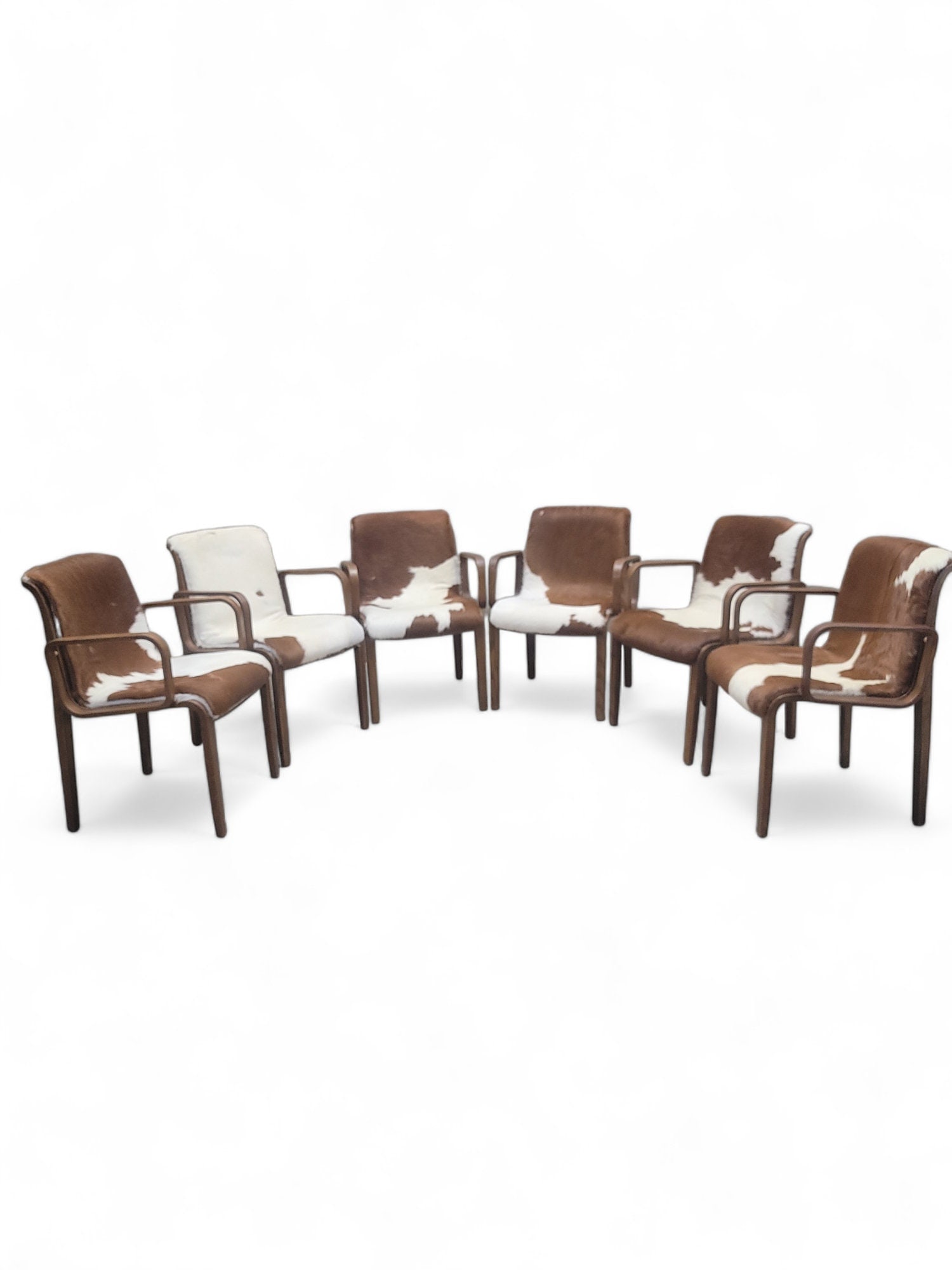 Mid Century Modern Bill Stephens Walnut Armchairs For Knoll Newly Upholstered in Cowhide - Set of 6: Depth: 21 inches Height: 32 inches Width: 23 inches *Mid Century Modern Bill Stephens Walnut Armchairs For Knoll Newly Upholstered in Brown & White Hair-on Brazilian Cowhide - Set of 6 Featuring s