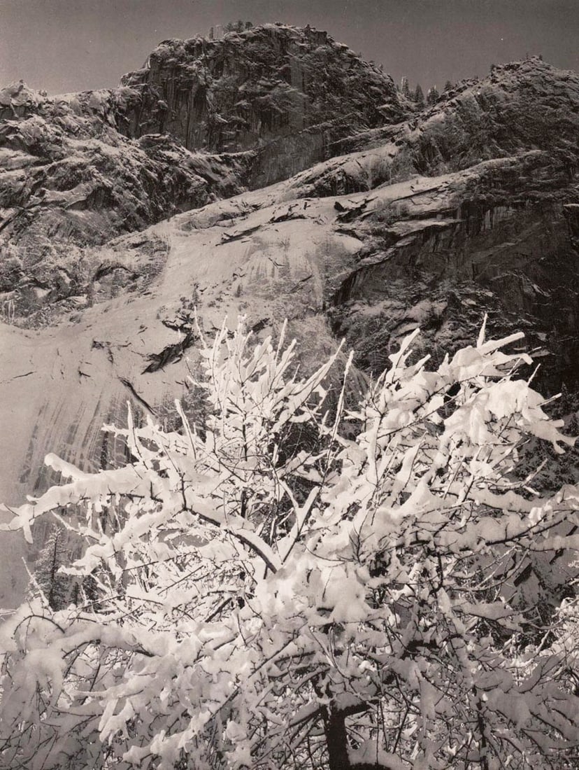 ANSEL ADAMS - Glacier Point, Apple Orchard, Winter (1 of 1)