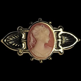 Vintage Ornate Winged Cameo Brooch/Pin