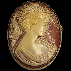 Large Vintage Cameo Pin/Brooch