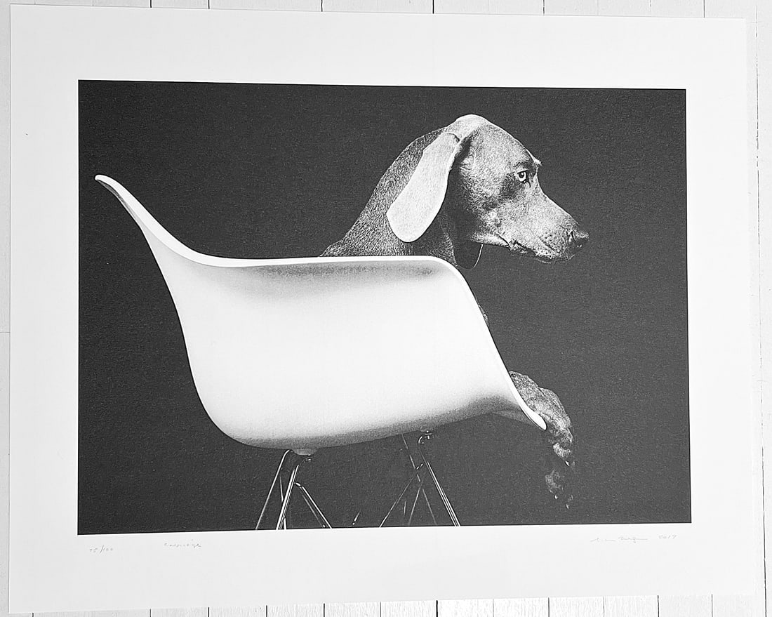 William Wegman: Untitled(Dog in Chair)2019 (1 of 2)