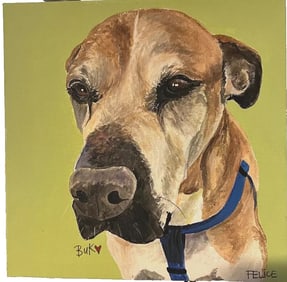 Art-Original OOAK pet portrait painting 12x12 Ready to hang by Felice kite
