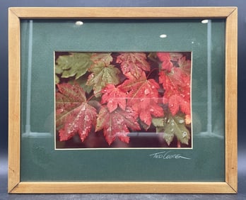 TED COOPER PHOTO, SIGNED